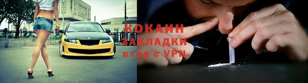 ешки Алексин