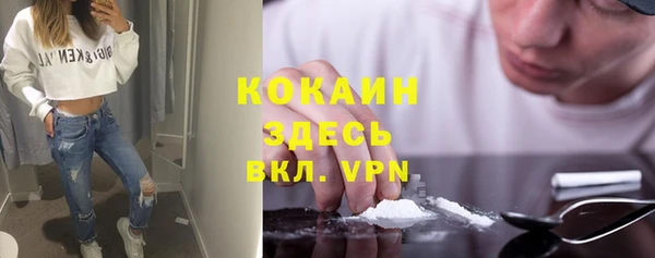 ешки Алексин